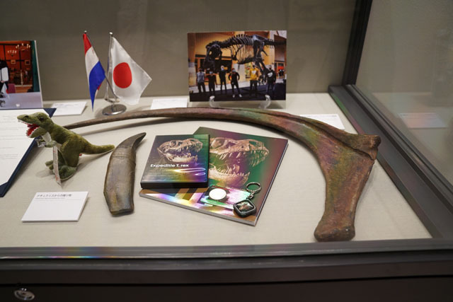 長崎市恐竜博物館-ミュージアムショップ (1).JPG