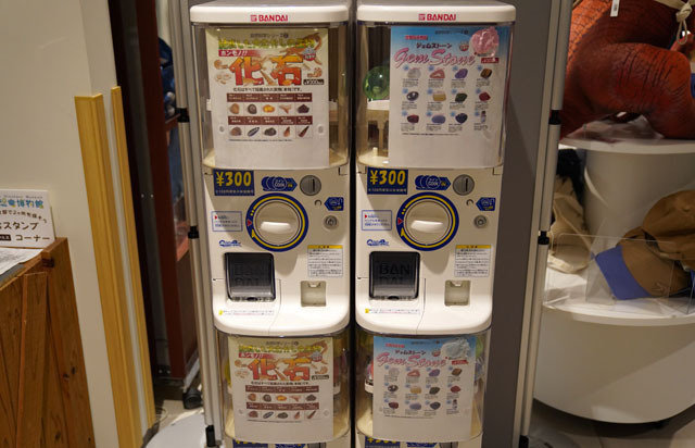 長崎市恐竜博物館-ミュージアムショップ (3).JPG