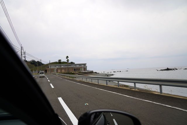 長崎市恐竜博物館 (1).JPG
