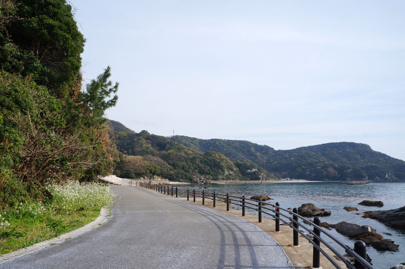 長崎市柿泊町　10.JPG