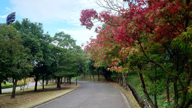 長崎市総合運動公園 (1).JPG