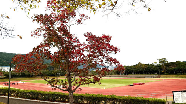 長崎市総合運動公園 (5).JPG