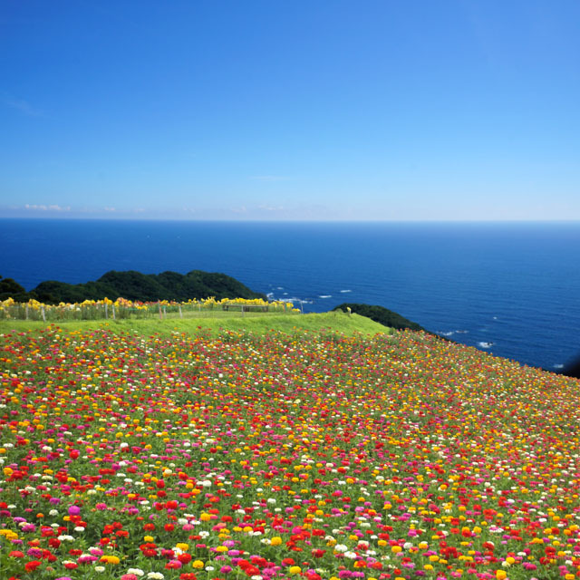 風景合成-2.jpg