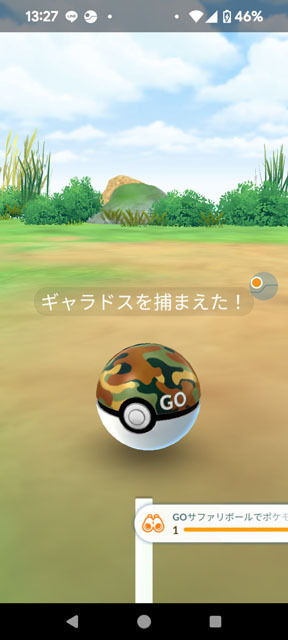 GOサファリボール.jpg