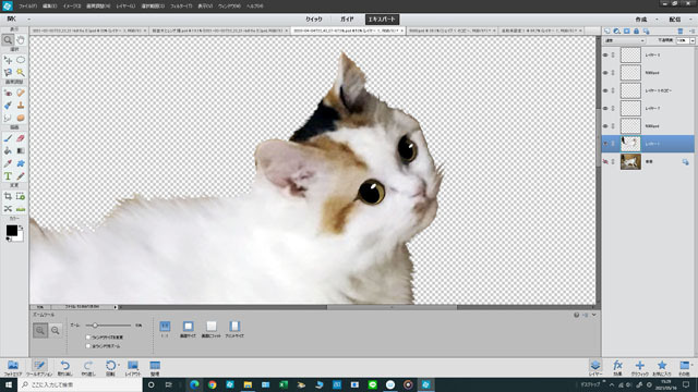 Photoshop 瞳.jpg