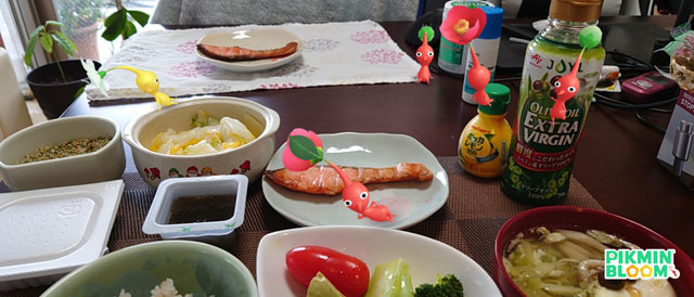 Pikmin Bloom（1）.jpg