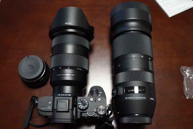SONY α7 III SONY FE 24-70mm F2.8 GM 100-400mm F5-6.3 DG OS HSM.JPG
