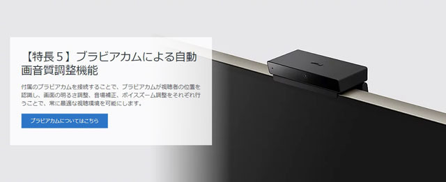 SONY有機ELテレビXRJ-55A95K (9).jpg