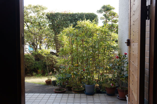 Sony NEX-F3 (14).JPG