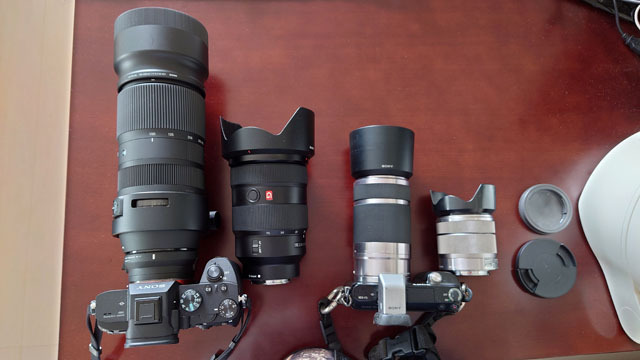 Sony NEX-F3 α7Ⅲ  (1).JPG