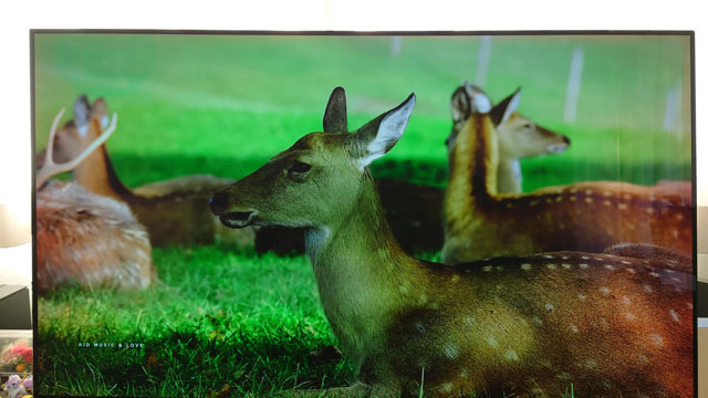 Sony4K有機ELテレビKJ-55A1の画面焼き付き (4).JPG