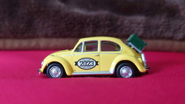 Travel Beetle (4).JPG