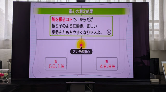 Wii Fit Plus (2).jpg