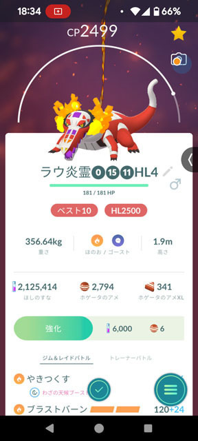 ほのおワニポケモンを解明せよ！ (5).jpg