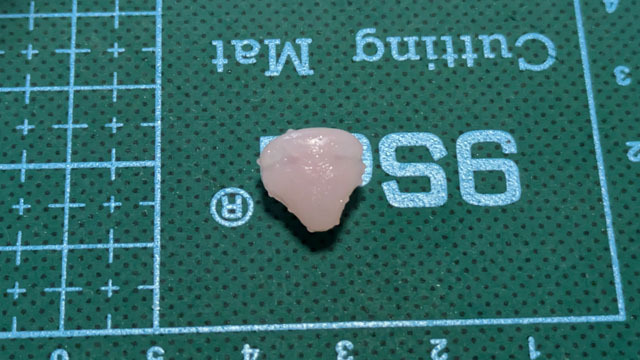 ソフトレジン液で猫の鼻を作る (15).jpg