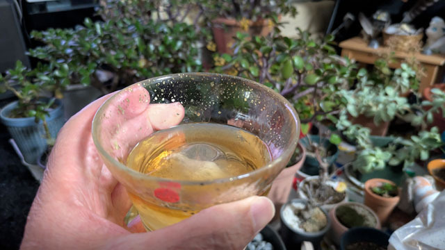 羊毛フェルトで茶トラを作る (3).jpg
