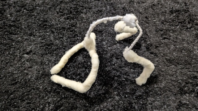 羊毛フェルトで茶トラを作る (9).jpg