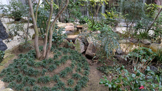 長崎大学病院 (長崎の里山) (3).jpg