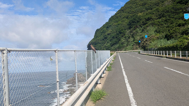 鳶 (1).jpg